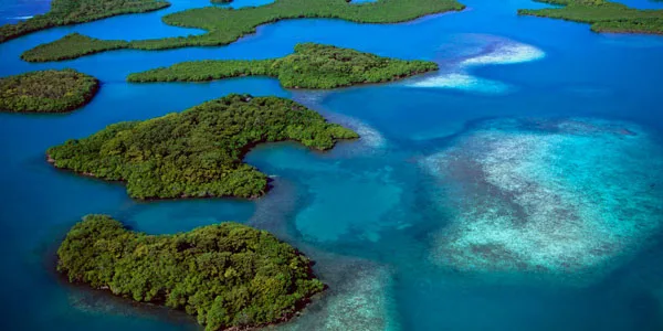Andaman & Nicobar